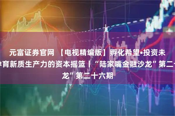 元富证券官网 【电视精编版】孵化希望•投资未来：孕育新质生产力的资本摇篮丨“陆家嘴金融沙龙”第二十六期