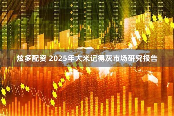 炫多配资 2025年大米记得灰市场研究报告