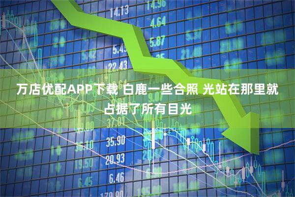 万店优配APP下载 白鹿一些合照 光站在那里就占据了所有目光